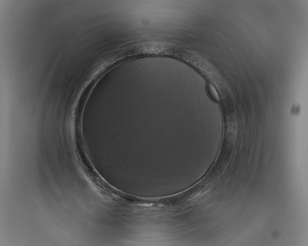 X0000093740626200711061024