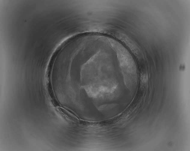 X0000093740628200711061024