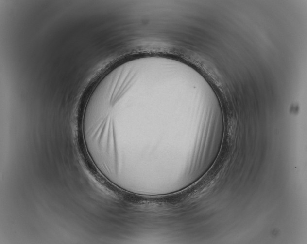 X0000093740629200711061024