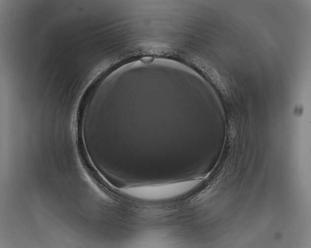 X0000093740630200711061024