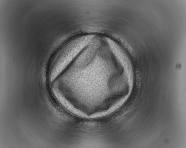 X0000093740631200711061024