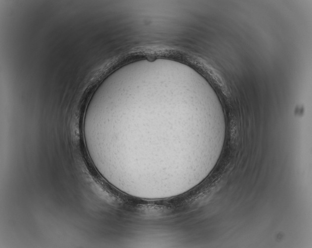 X0000093740633200711061024