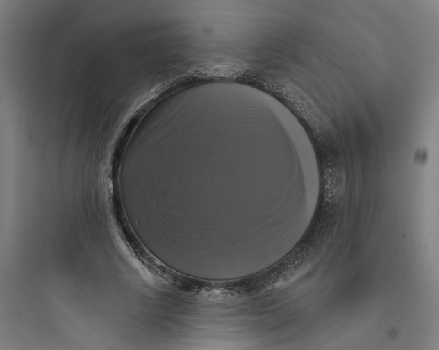 X0000093740634200711061025