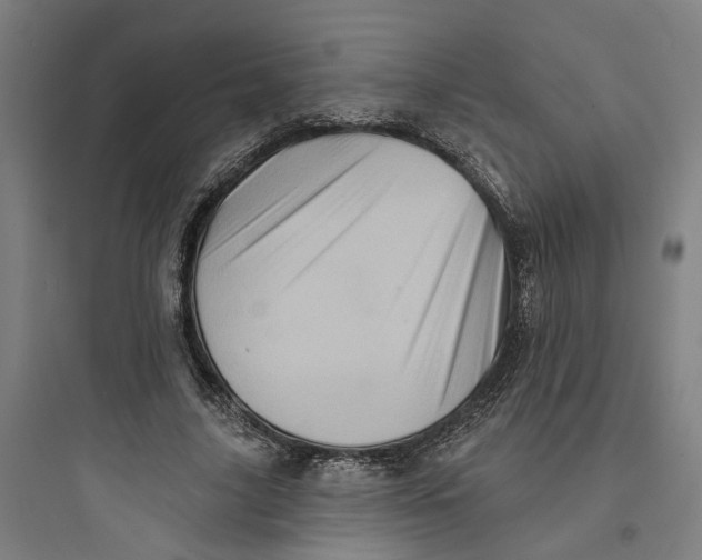 X0000093740635200711061025