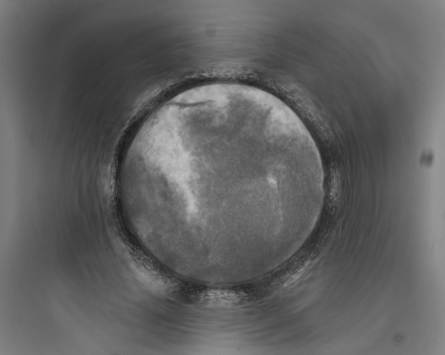 X0000093740636200711061025