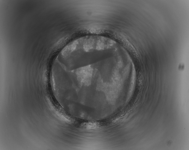 X0000093740639200711061025