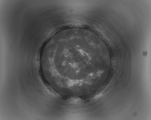 X0000093740642200711061025