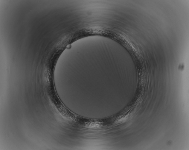 X0000093740643200711061025