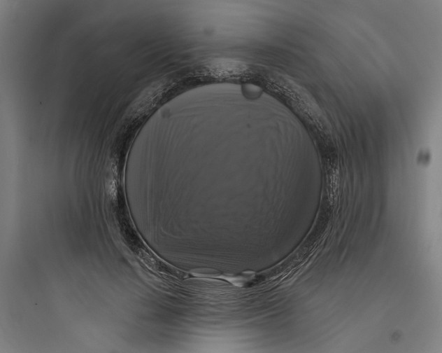 X0000093740644200711061025