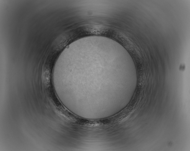 X0000093740646200711061025