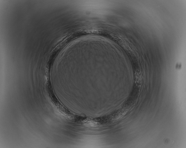 X0000093740648200711061025