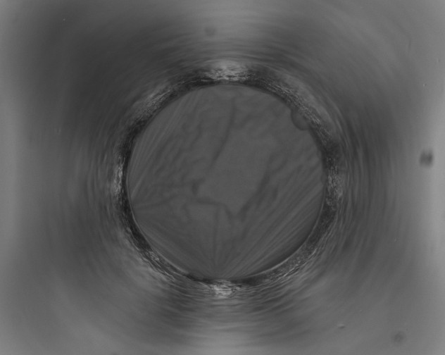 X0000093740652200711061025