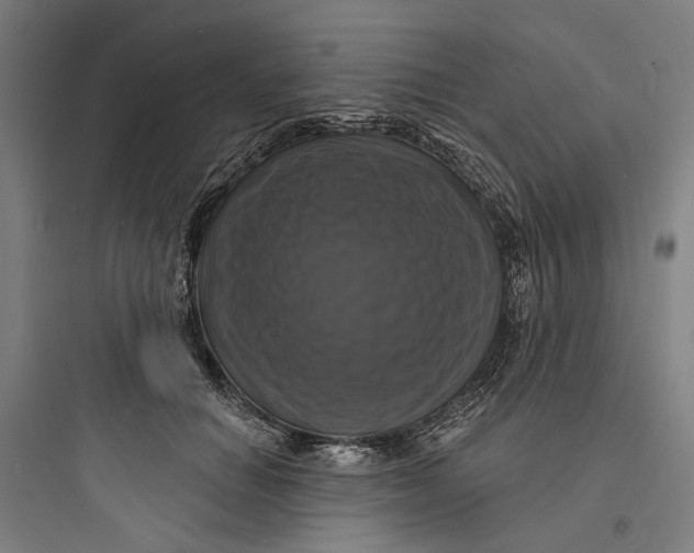 X0000093740654200711061025