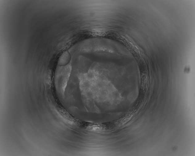 X0000093740655200711061025