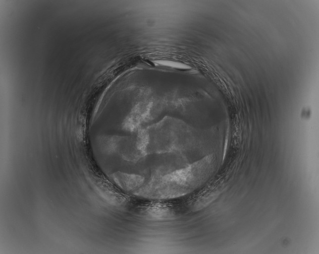 X0000093740656200711061025