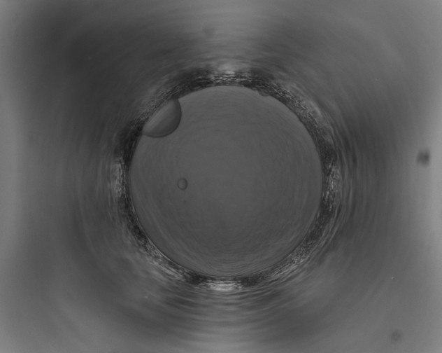 X0000093740659200711061025