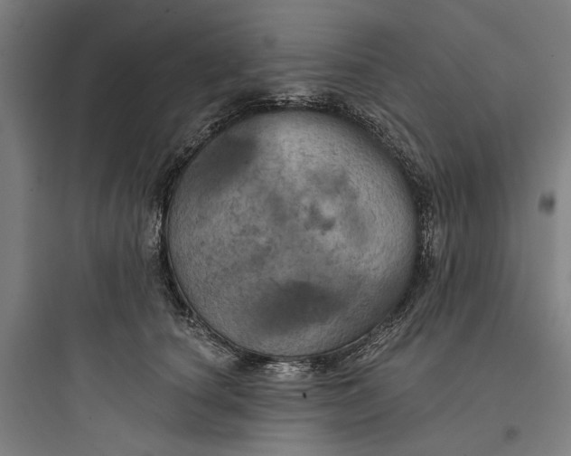 X0000093740660200711061025