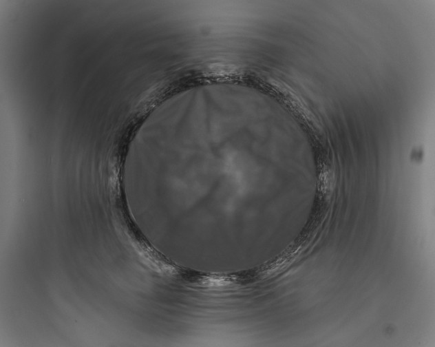 X0000093740662200711061025