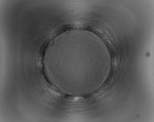 X0000093740663200711061025