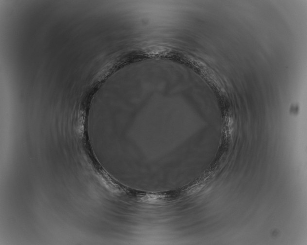 X0000093740664200711061025