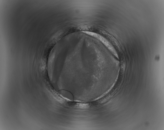 X0000093740665200711061025