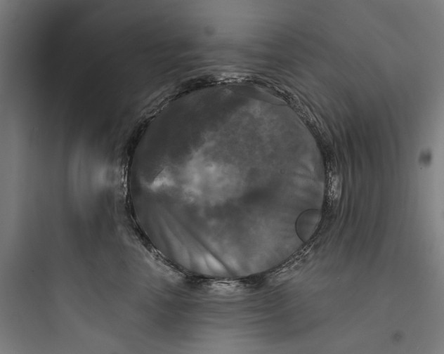 X0000093740666200711061025