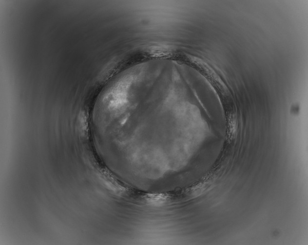 X0000093740667200711061025