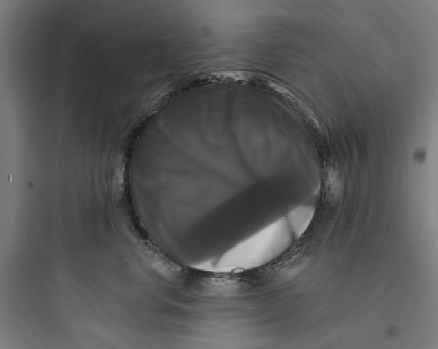 X0000093740668200711061025