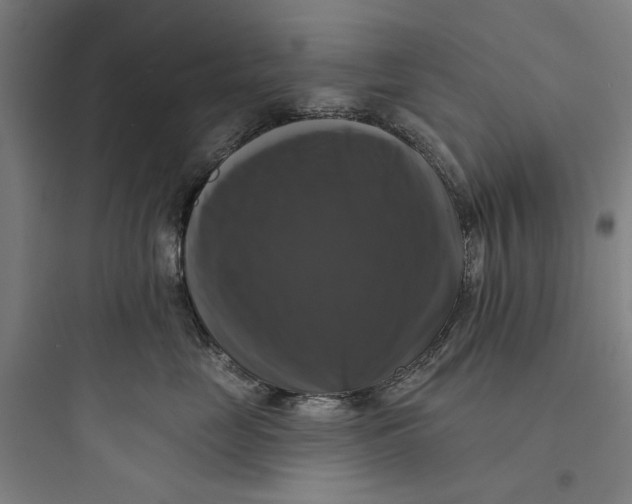 X0000093740669200711061025