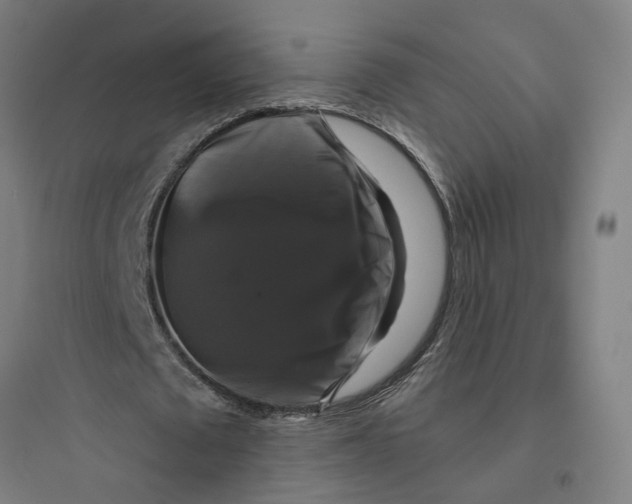 X0000093740673200711061024