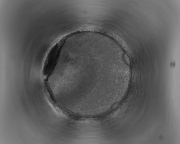 X0000093740674200711061024