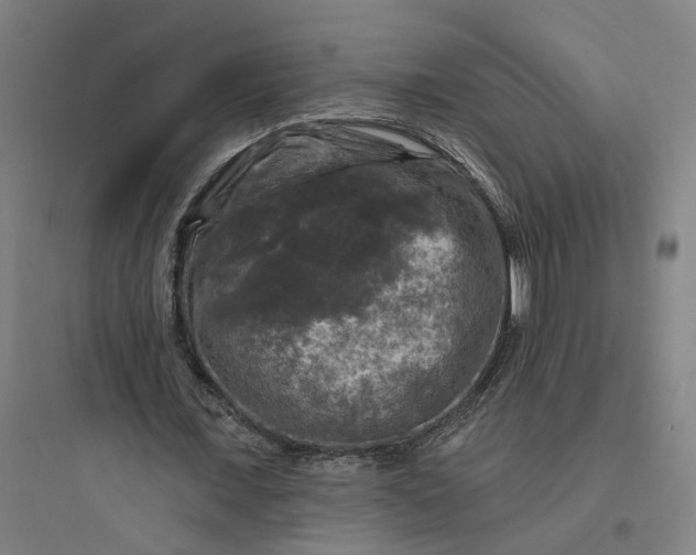 X0000093740675200711061024