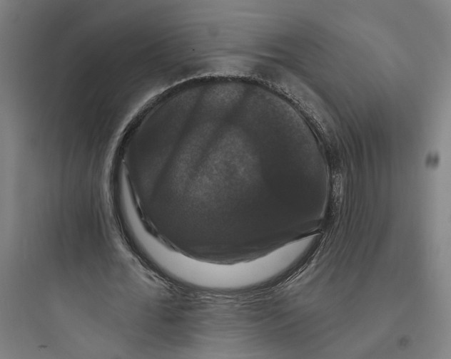 X0000093740676200711061024