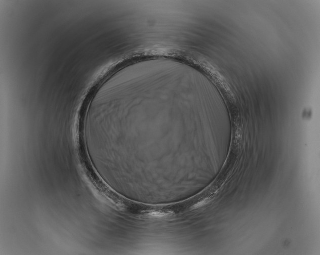 X0000093740678200711061024