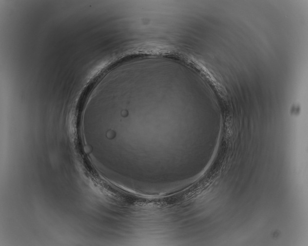 X0000093740679200711061024