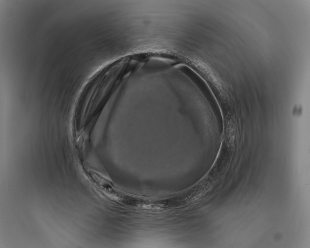 X0000093740680200711061024