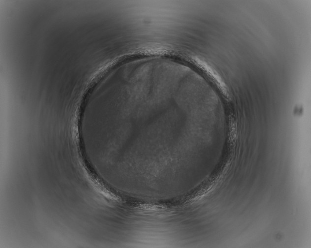 X0000093740681200711061024