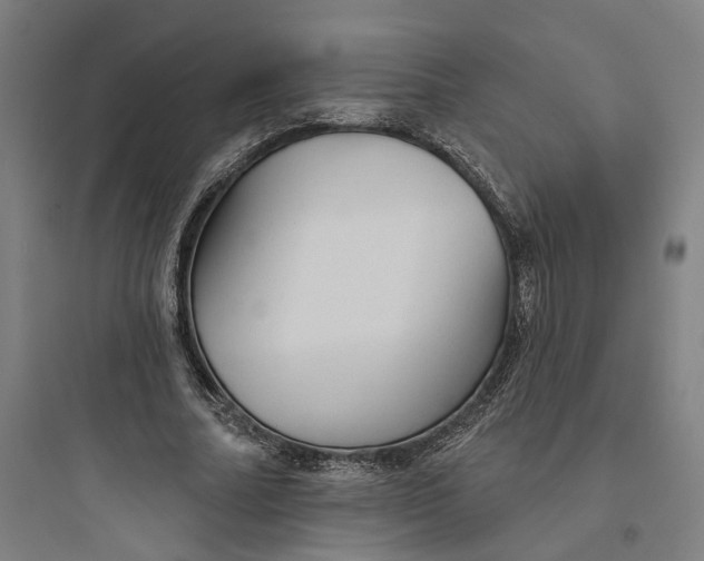 X0000093740682200711061024