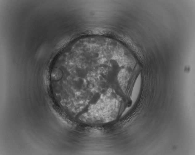 X0000093740683200711061024