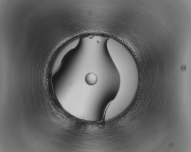 X0000093740684200711061024