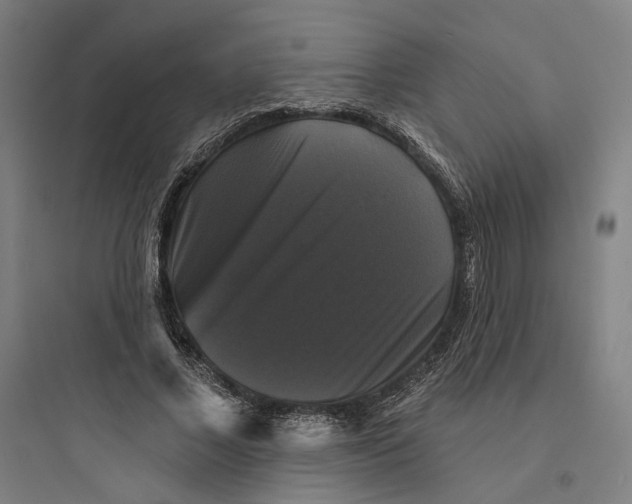 X0000093740685200711061024