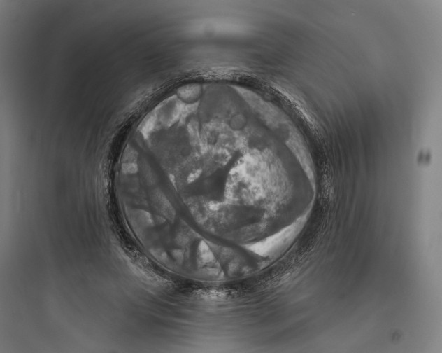 X0000093740687200711061024