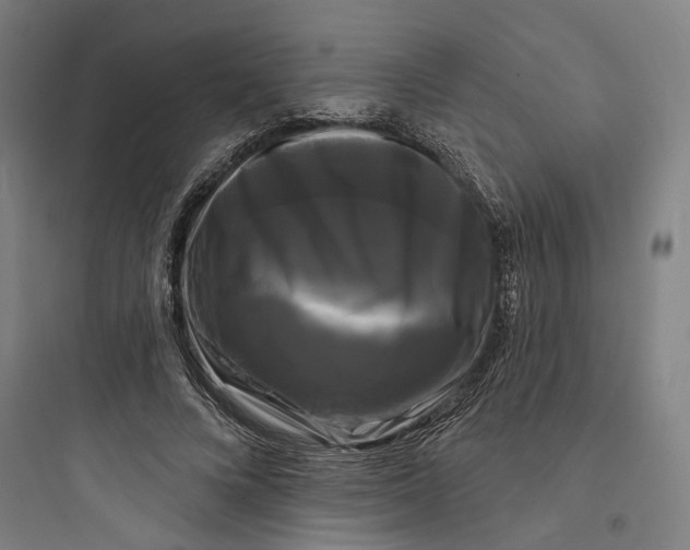 X0000093740688200711061024