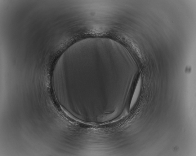 X0000093740689200711061024