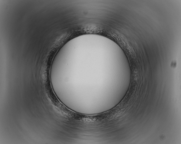 X0000093740690200711061024