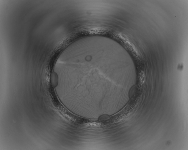 X0000093740691200711061024