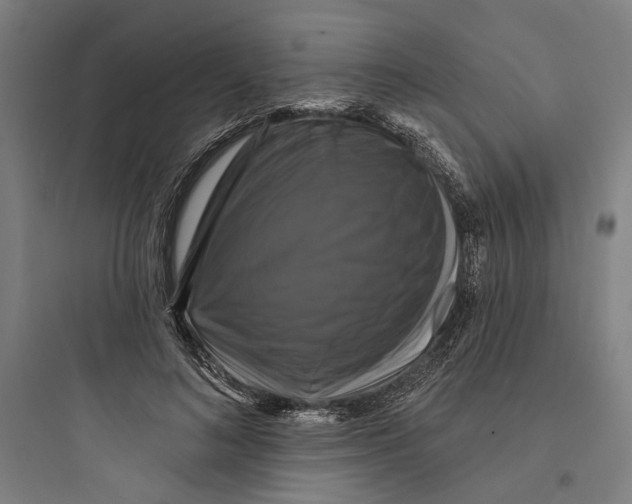 X0000093740692200711061024