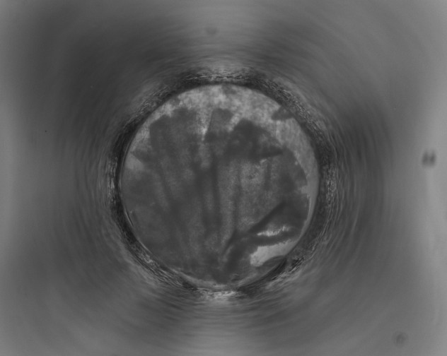 X0000093740695200711061024