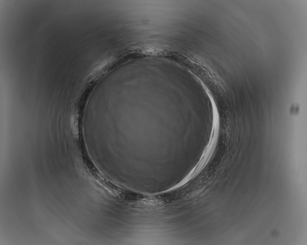 X0000093740696200711061024