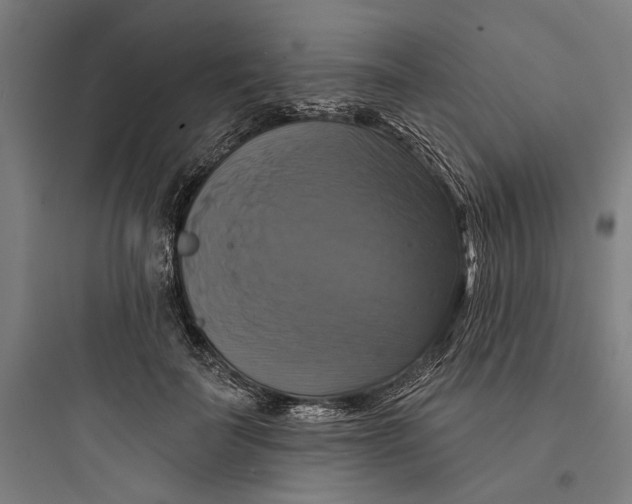 X0000093740699200711061024